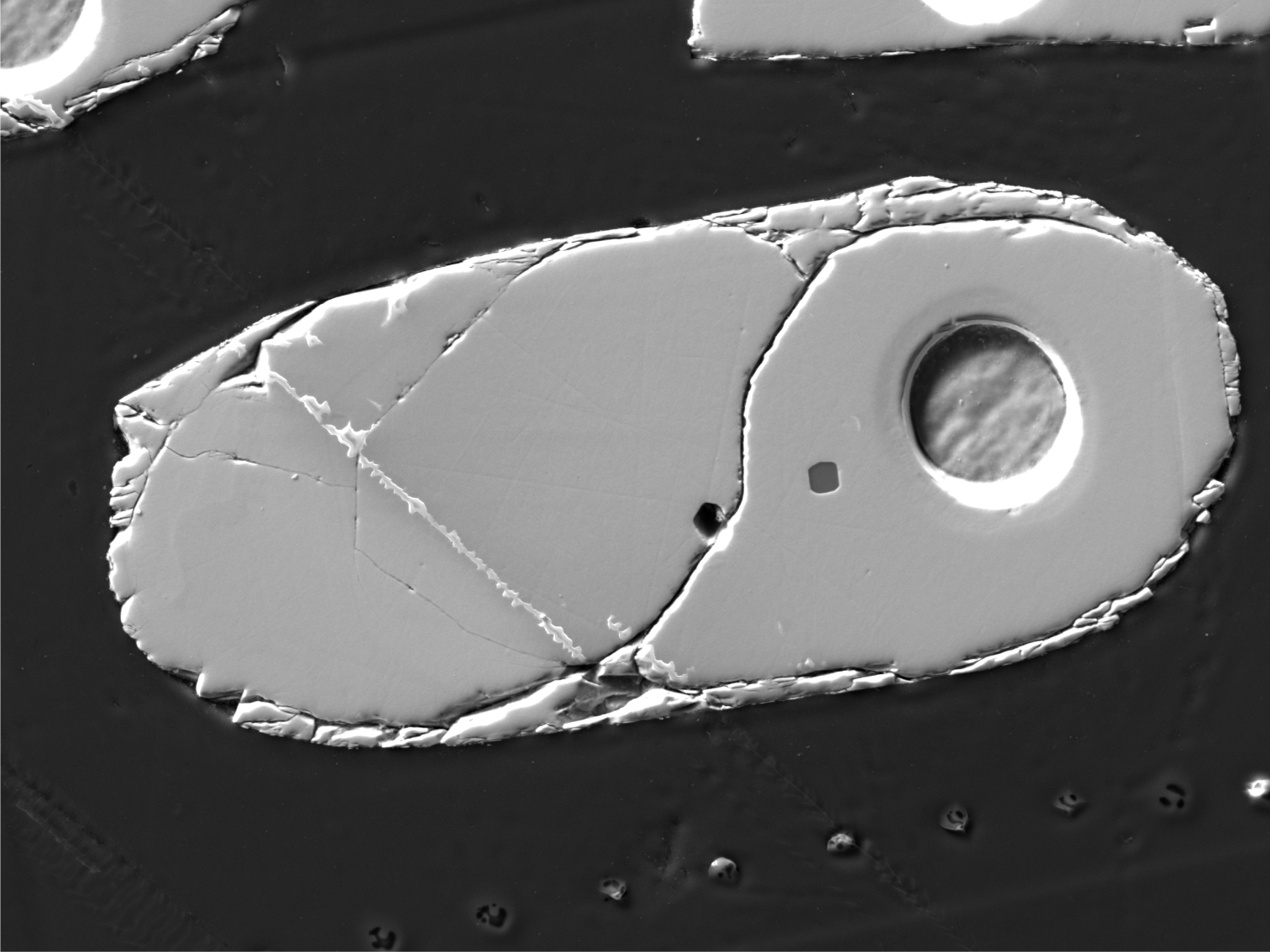 Zircon SEM image