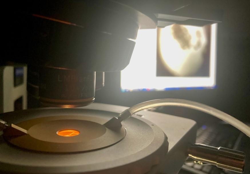 A melting point experiment being performed using the TS1400XY