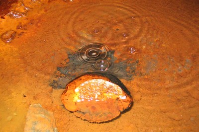 a rock in ancient rusty orange coloured water