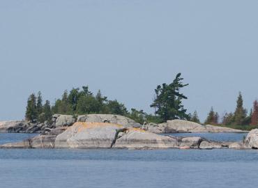 view of water, rocks and trees on Georgian Bay