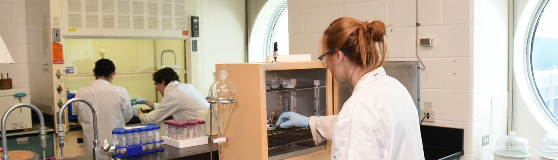 Students working in a lab